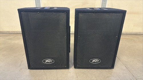 Peavey pvi10 pvi watt 8 - pvi10, 50