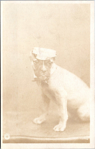 Rppc studio portrait - rppc,