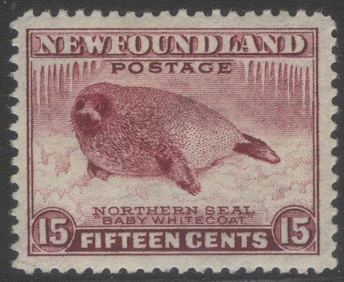Newfoundland 262 nssc245ii - newfoundland,