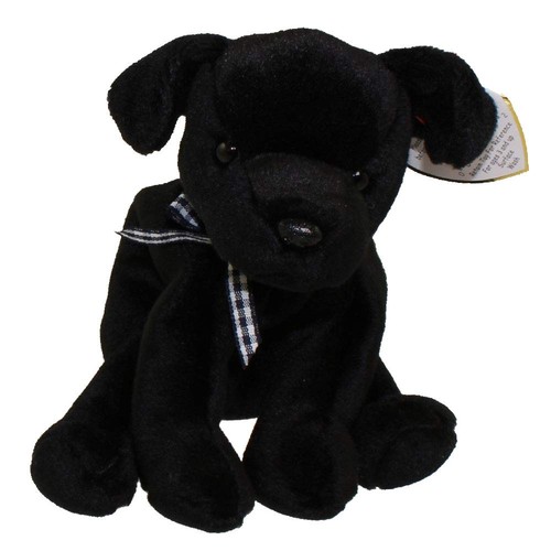 Luke the black - luke, labrador