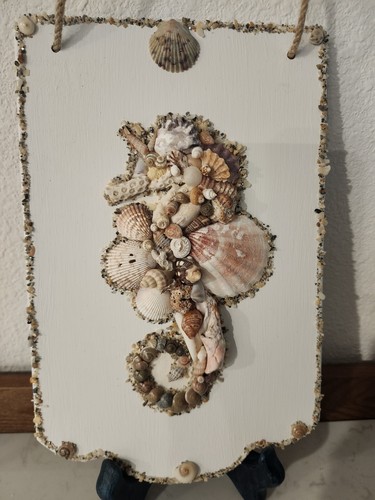 Sea shell wall - sea,