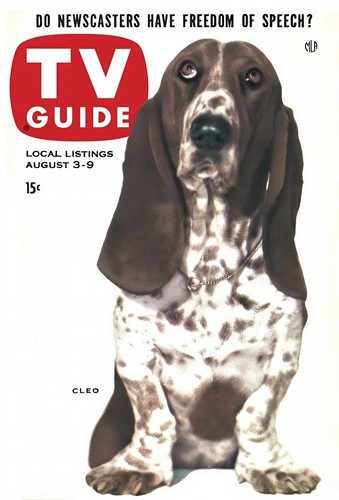 Cleo the basset - hound, 1957
