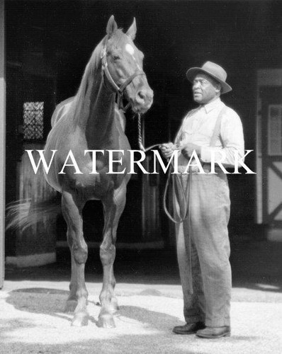 Man war horse racing x - o, 10