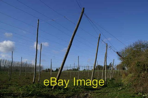 Photo 6x4 hop - 6x4, poles