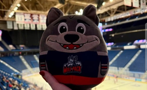 Hartford wolfpack sga - wolfpack, mascot