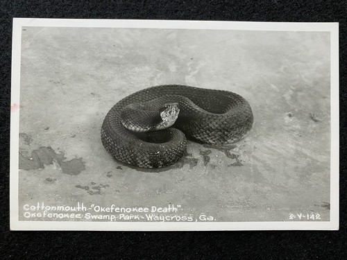 Waycross georgia rppc - waycross, ga