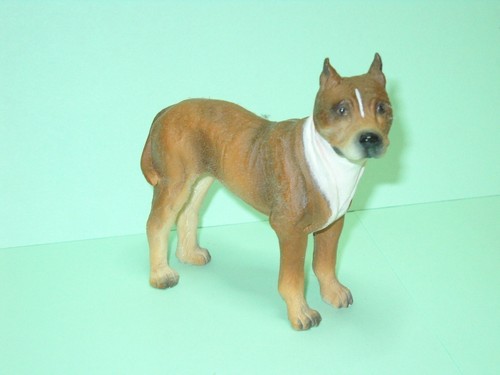 American pitbull terrier dog - american,