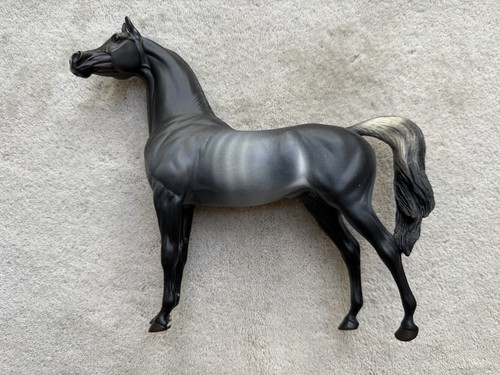Peter stone horse ziggy aka - peter,