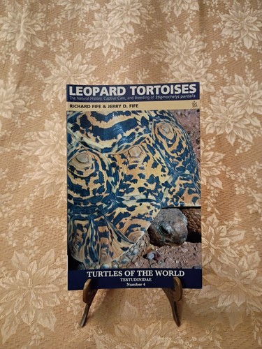 Leopard tortoises richard - leopard,