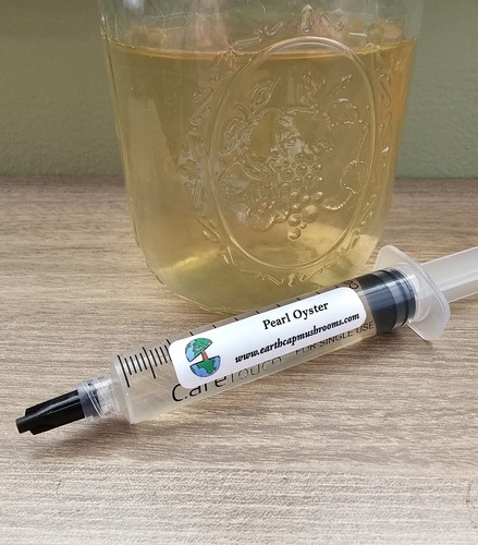 Pearl oyster mushroom liquid - mushroom,