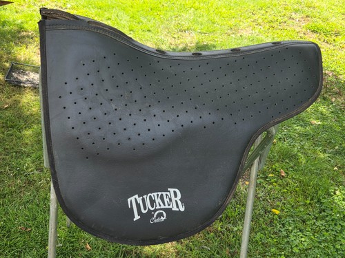 Tucker endurance trail - endurance,