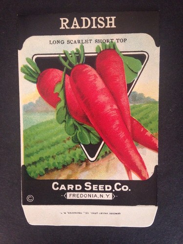 1930s litho antique vintage - 1930s,