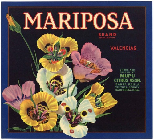 Mariposa brand santa - mariposa, paula