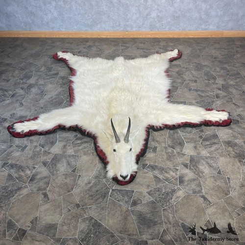 27867 mountain goat - |,