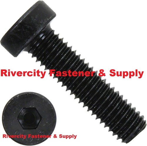 10 low head socket - x,