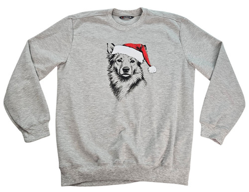 Border collie australian - border,