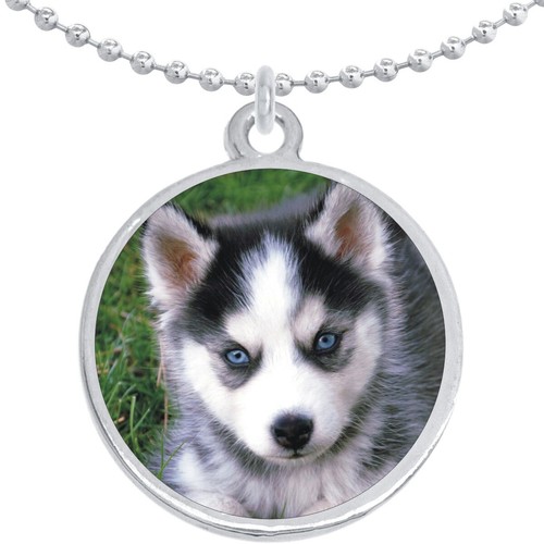 Husky puppy round - husky,