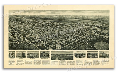 Bird eye view 1924 - 1924, egg