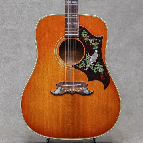 Gibson dove 1964 used - /,