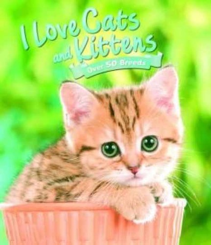 Love cats kittens over 50 - kittens,