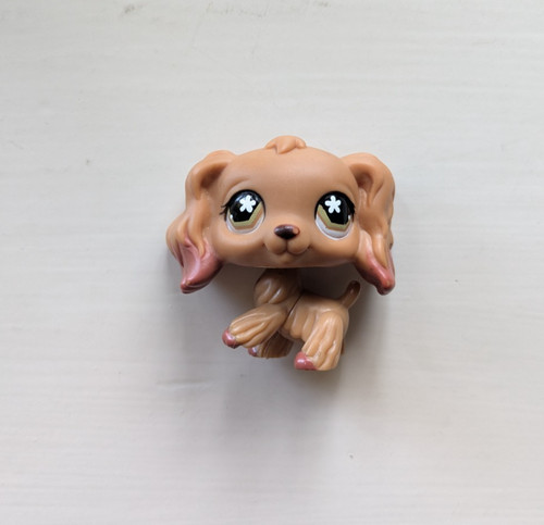 Authentic rare littlest pet - rare,