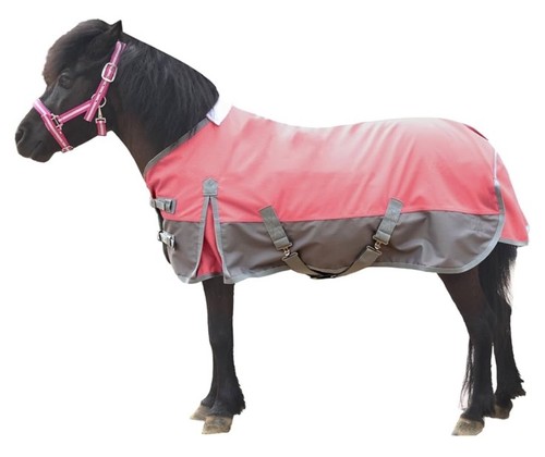 Gallopoff mini - gallopoff,