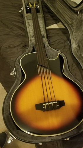Washburn fretless - ab-20,