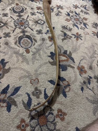 Hoyt pro special recurve bow - hoyt,