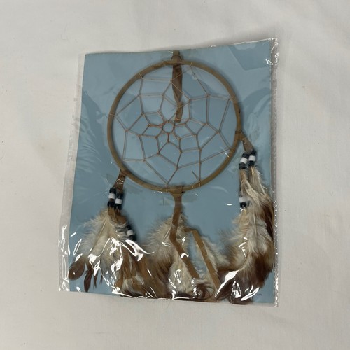Native american lakota sioux - native,