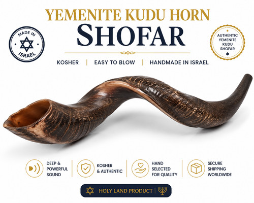 Yemenite shofar kudu horn - shofar,