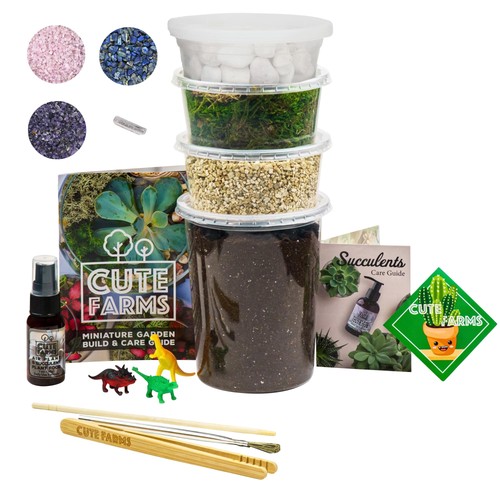 Terrarium starter kit - kit:, moss
