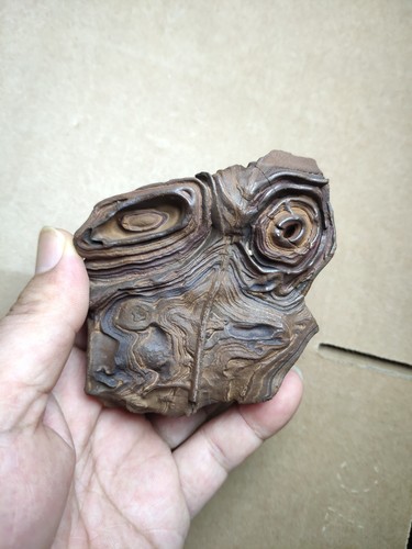 410g beautiful volcanic - beautiful, rock