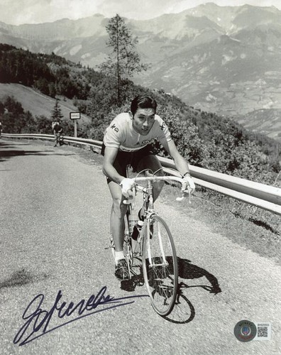 Eddy merckx signed 8x10 - eddy, photo