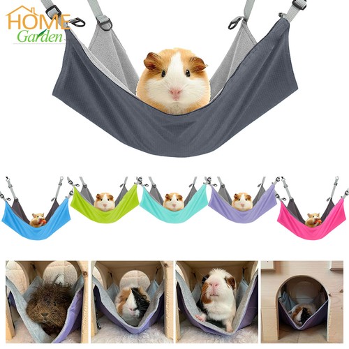 Small animals hanging hammock - animals,