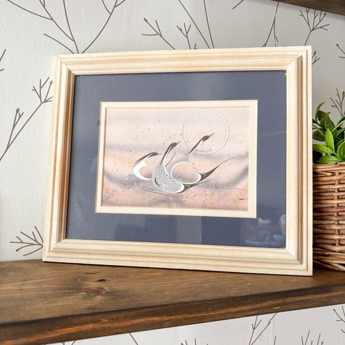 Pintail ducks framed - ducks, waterfowl