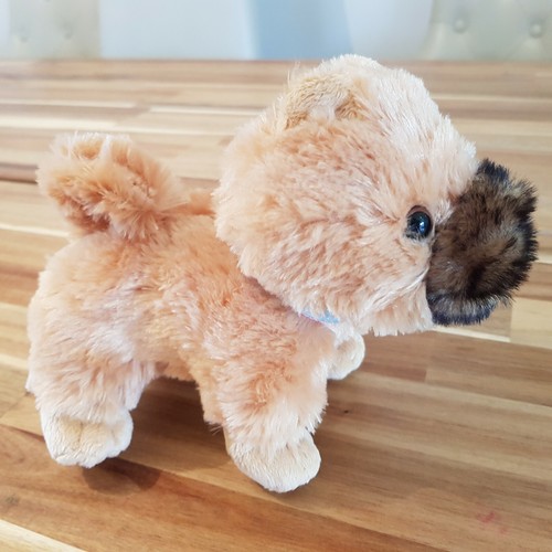 Our generation chow - our, pup