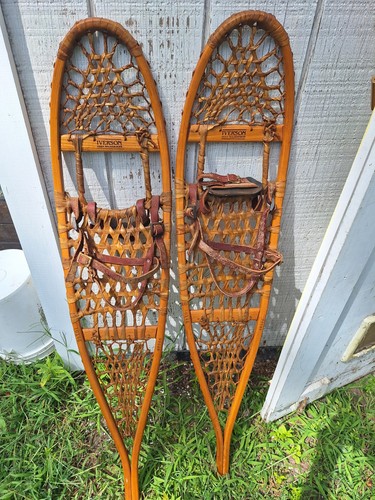 Iverson seek wilderness 10x46 - seek,