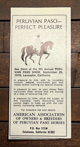 Peruvian paso horse show - horse,