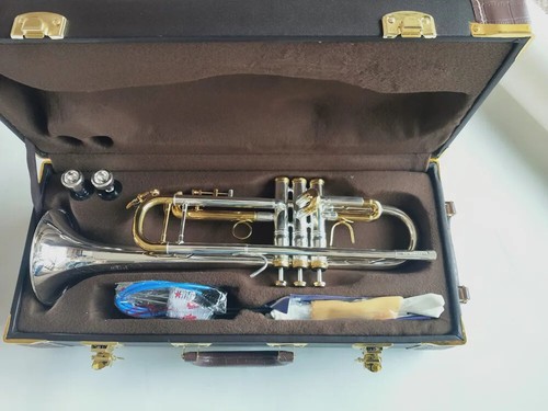 Brand new 180s stradivarius - brand-new, 180s-72