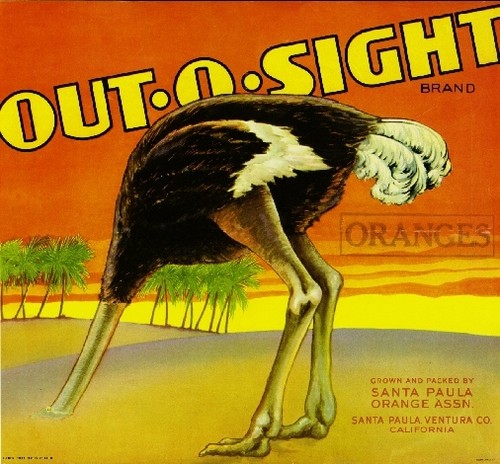 Santa paula out sight - santa,
