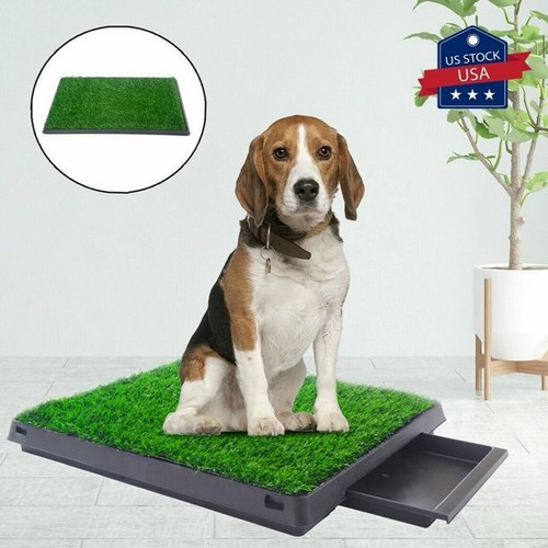 Puppy pee pad - puppy,