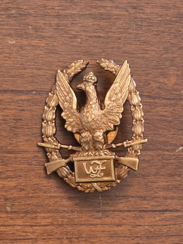Polish military exemplary - polish,