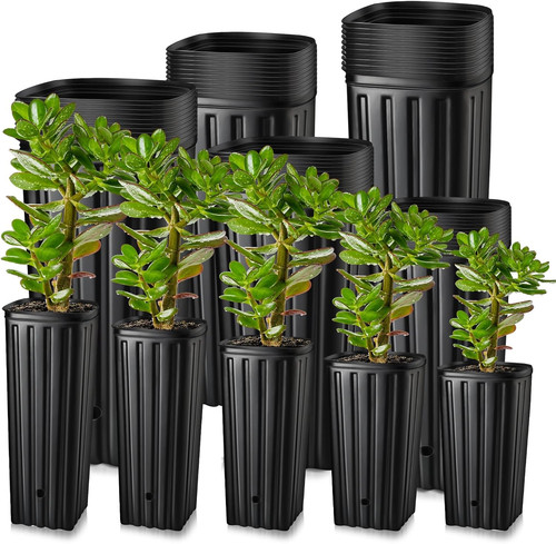 100 pcs tall - 100, pots