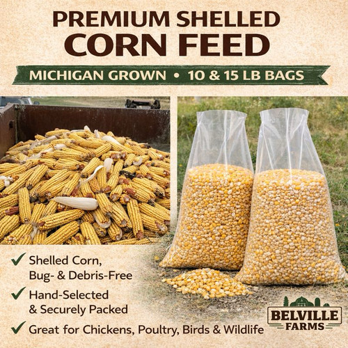 Premium shelled corn - premium,