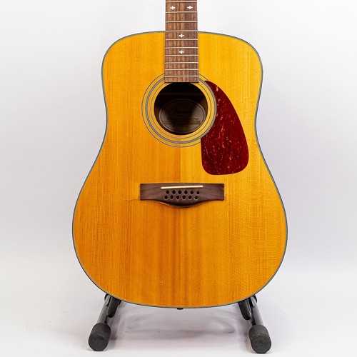 Fender 12 string - fender,