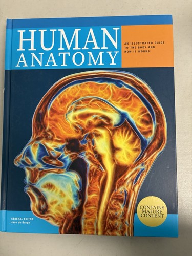 Human anatomy illustrated - human, an