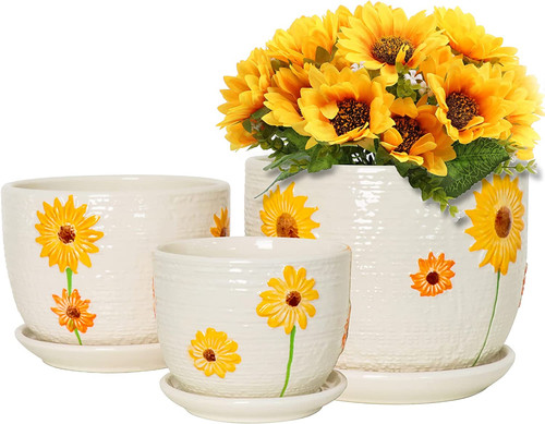Ceramic plant pots for - ceramic,