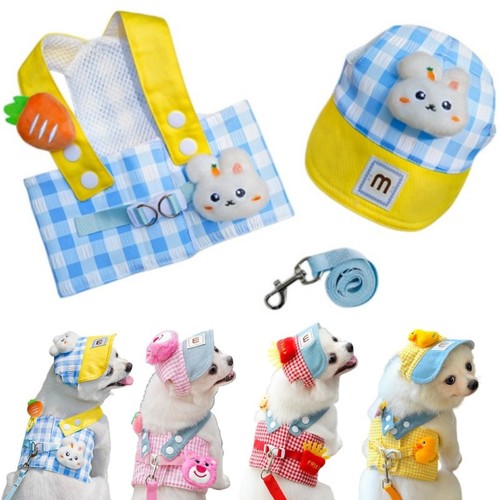 Cute pet dog - dog, leash