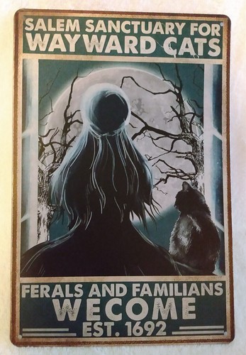 Salem sanctuary for wayward - salem,