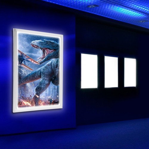 X24 led backlit movie - 18"x24",